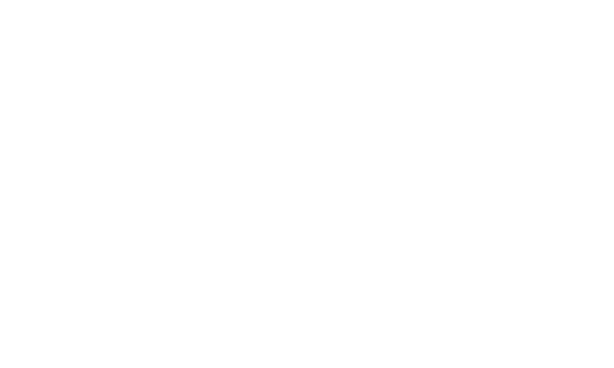 Blue Sapphire Handyman Services